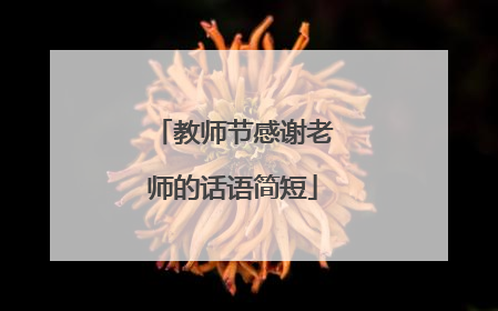 教师节感谢老师的话语简短