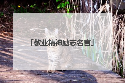 敬业精神励志名言