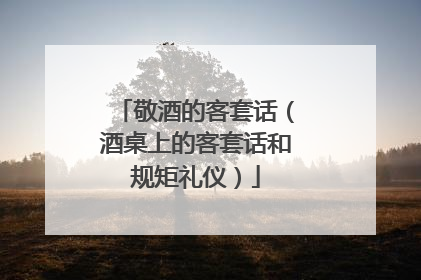 敬酒的客套话(酒桌上的客套话和规矩礼仪)