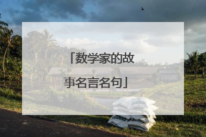 数学家的故事名言名句