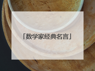 数学家经典名言