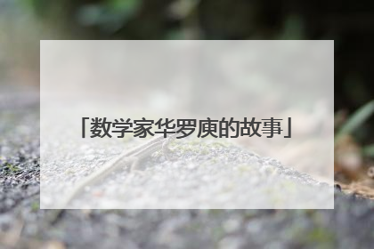 数学家华罗庾的故事