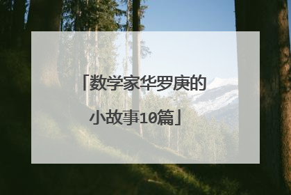 数学家华罗庚的小故事10篇