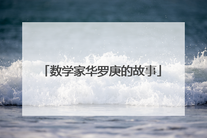 数学家华罗庚的故事