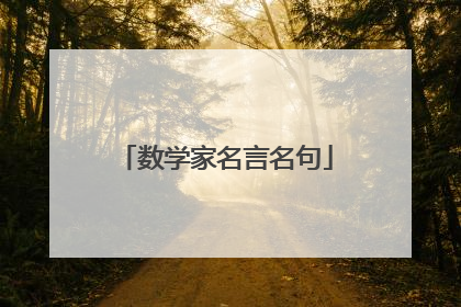 数学家名言名句