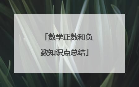 数学正数和负数知识点总结