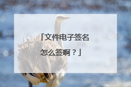文件电子签名怎么签啊？