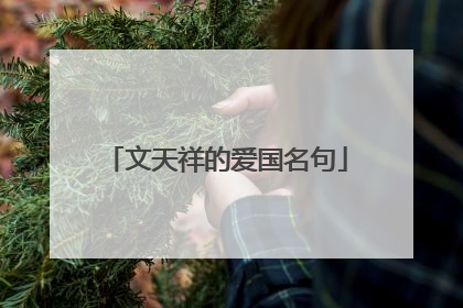 文天祥的爱国名句