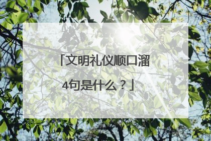 文明礼仪顺口溜4句是什么？