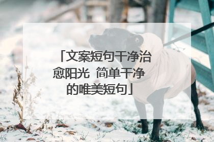 文案短句干净治愈阳光 简单干净的唯美短句