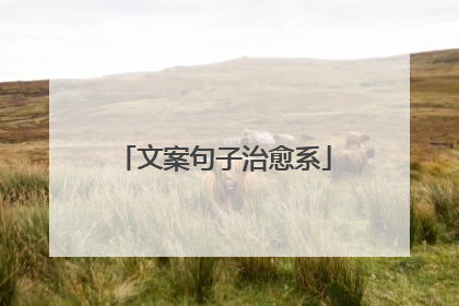 文案句子治愈系