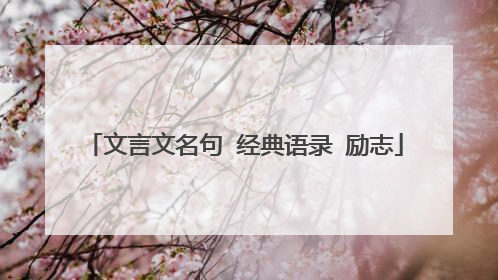 文言文名句 经典语录 励志
