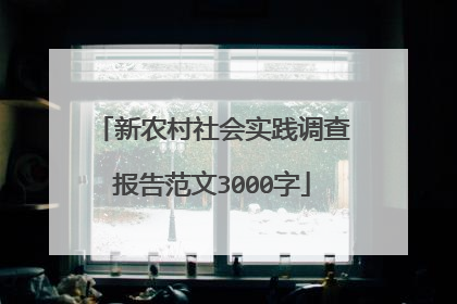 新农村社会实践调查报告范文3000字