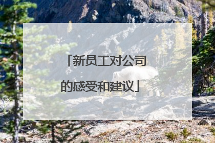 新员工对公司的感受和建议