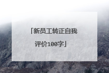 新员工转正自我评价100字