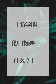 新学期的目标是什么？