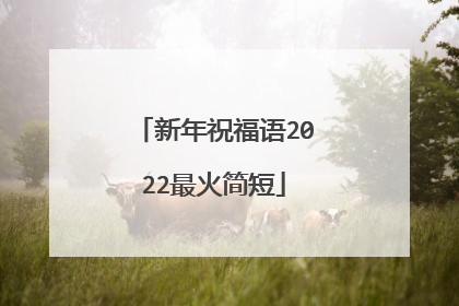 新年祝福语2022最火简短