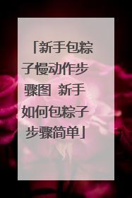 新手包粽子慢动作步骤图 新手如何包粽子步骤简单