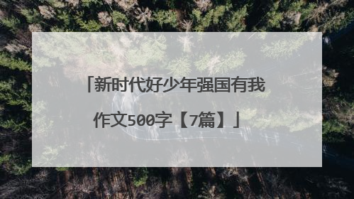 新时代好少年强国有我作文500字【7篇】