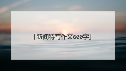 新闻特写作文600字