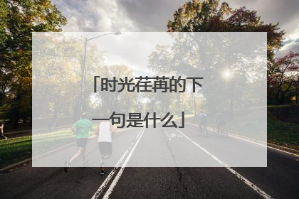 时光荏苒的下一句是什么