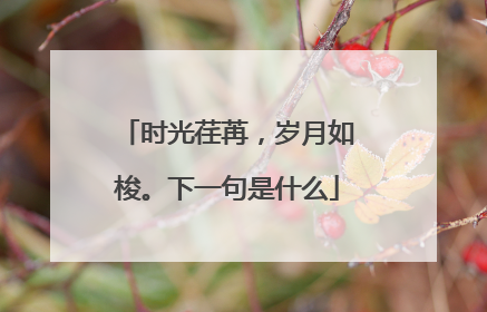 时光荏苒，岁月如梭。下一句是什么