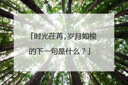 时光荏苒,岁月如梭的下一句是什么？