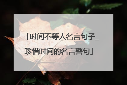 时间不等人名言句子_珍惜时间的名言警句