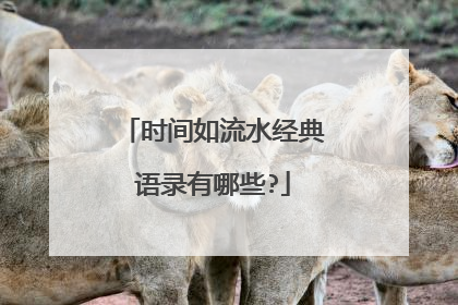 时间如流水经典语录有哪些?