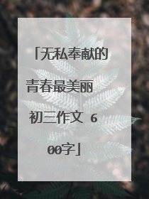 无私奉献的青春最美丽 初三作文 600字