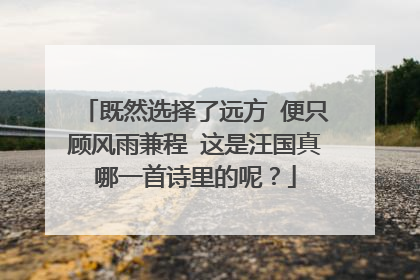 既然选择了远方 便只顾风雨兼程 这是汪国真哪一首诗里的呢？