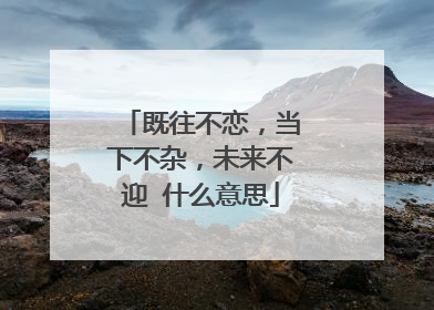 既往不恋,当下不杂,未来不迎 什么意思