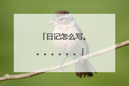 日记怎么写。。。。。。。