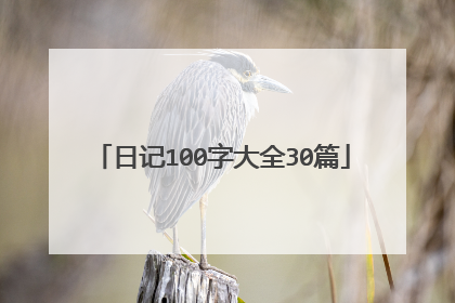日记100字大全30篇