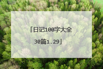 日记100字大全30篇1.29