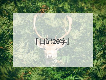 日记20字