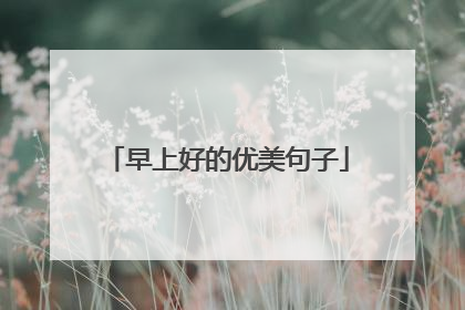 早上好的优美句子