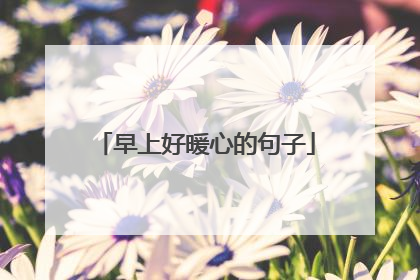 早上好暖心的句子