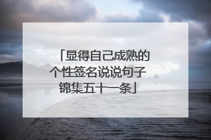 显得自己成熟的个性签名说说句子锦集五十一条