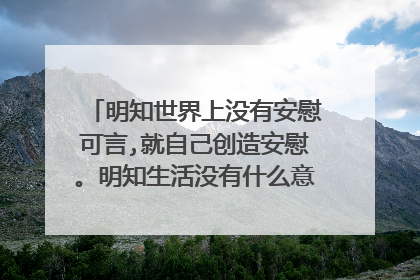 明知世界上没有安慰可言,就自己创造安慰。明知生活没有什么意义,就自己创造生