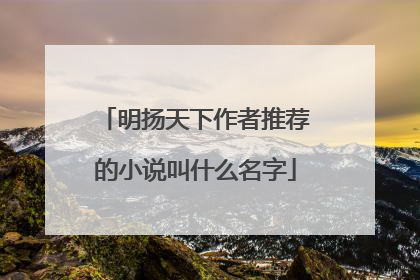 明扬天下作者推荐的小说叫什么名字