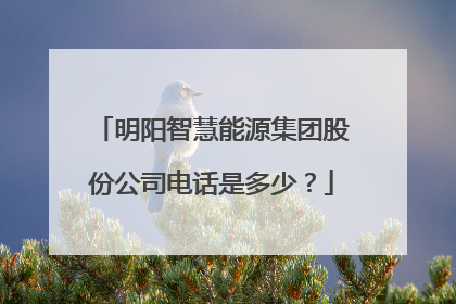 明阳智慧能源集团股份公司电话是多少?