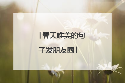 春天唯美的句子发朋友圈