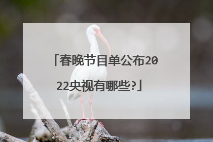 春晚节目单公布2022央视有哪些?