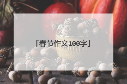 春节作文100字