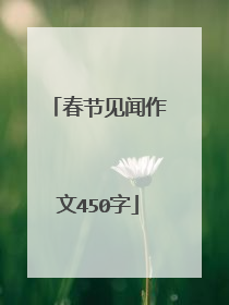 春节见闻作文450字