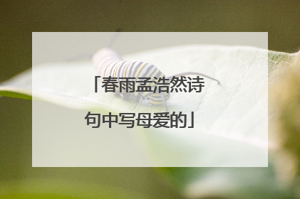 春雨孟浩然诗句中写母爱的