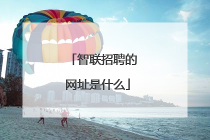 智联招聘的网址是什么