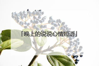 晚上的说说心情短语