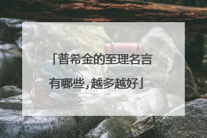 普希金的至理名言有哪些,越多越好